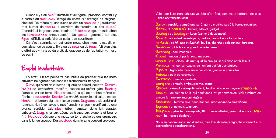 Image bretonnismes-28-29.jpg