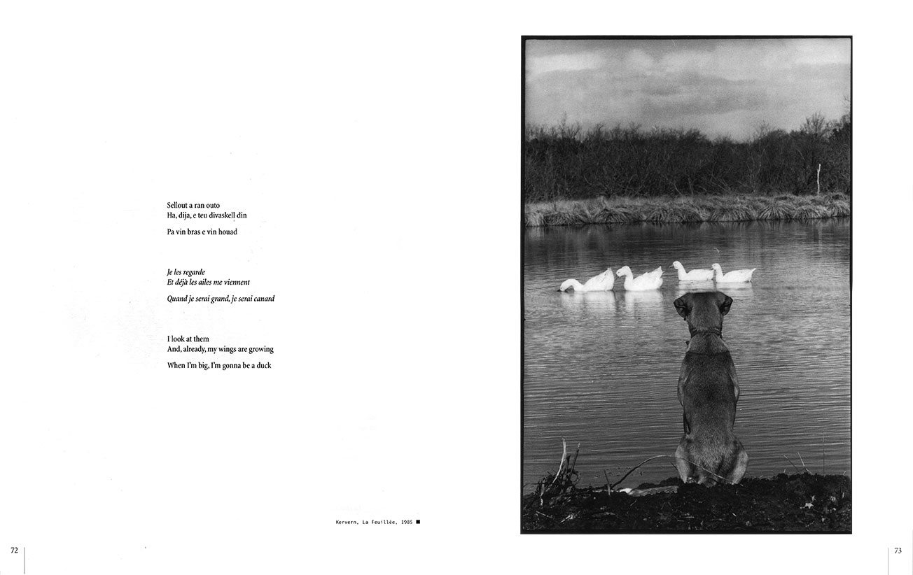 Image pouliquen-tangi-72-73.jpg